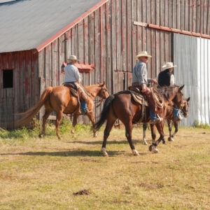 Die Cowboys aus der Maremma