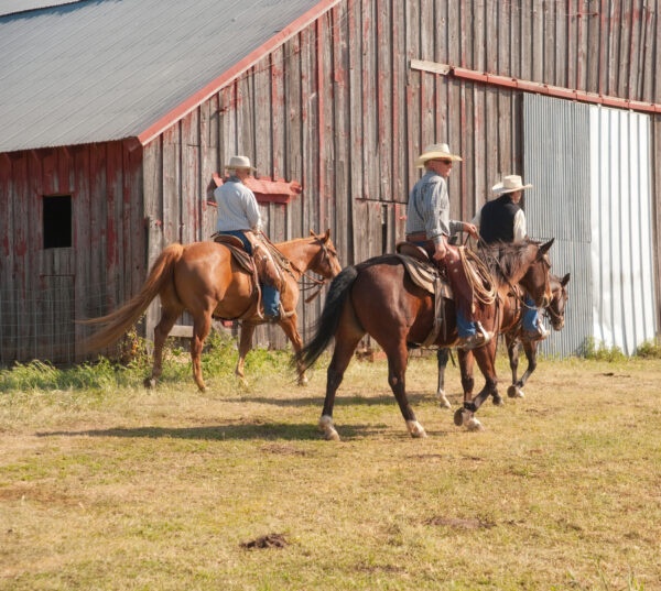 Die Cowboys aus der Maremma