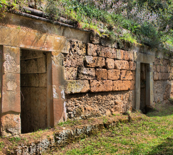 Tagesausflug Tranquinia und Cerveteri – Bild 2