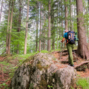 Euganeische Hügel und Bassano del Grappa, Wandern für Jedermann