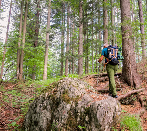Euganeische Hügel und Bassano del Grappa, Wandern für Jedermann