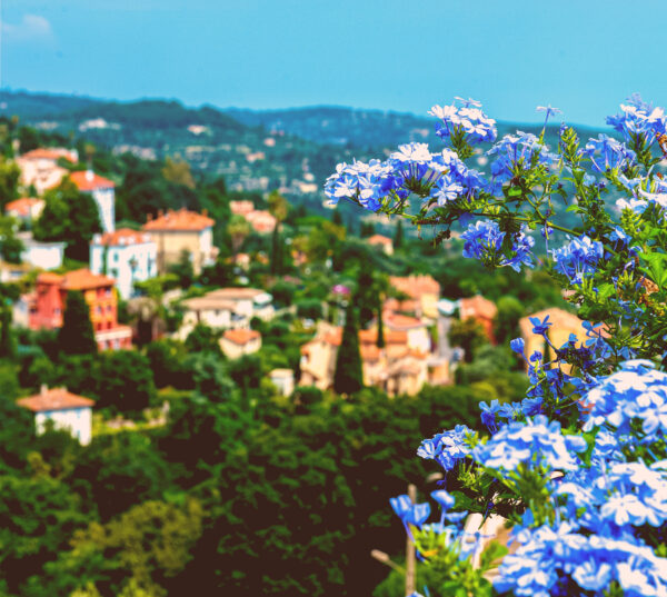 Cote d'Azur: Cannes - Grasse – Bild 2