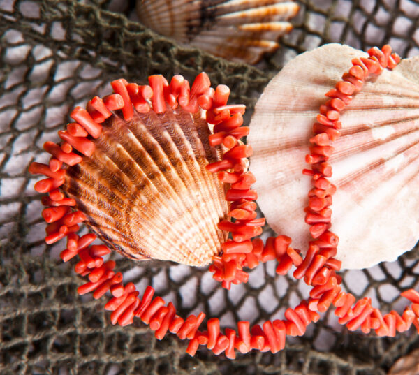 Traumhaftes Schnäppchen Sardinien – Bild 3