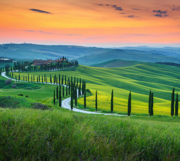 Top Selling Angebot - Toscana