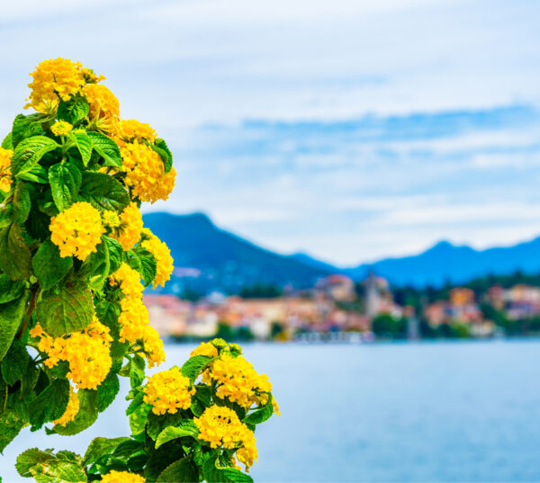 Lago Maggiore: Verbania - Kultur am Vormittag, Natur am Nachmittag