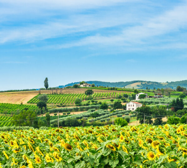 Bevagna, Montefalco und Trevi – Bild 2