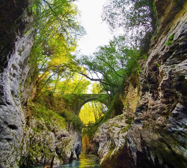 Jenseits der Stadtmauer: Ein Tag rund um Lucca – Bild 2