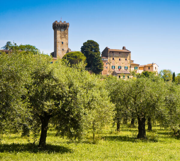 San Miniato und Vicopisano – Bild 2