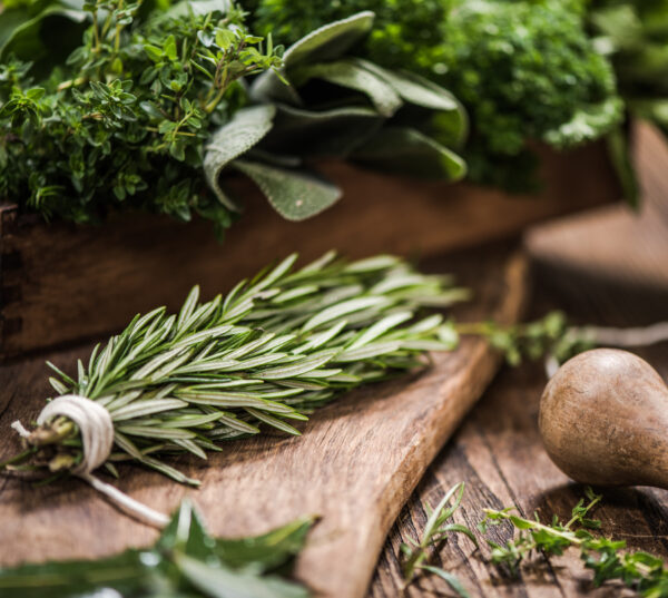 Aromatica Event in Diano Marina