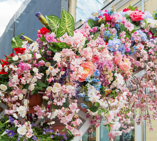 Das Blumenfest von Monte Isola – Bild 2