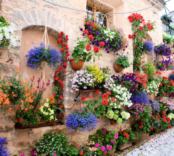 L'Infiorata: ein Blumenteppich verzaubert Spello – Bild 2