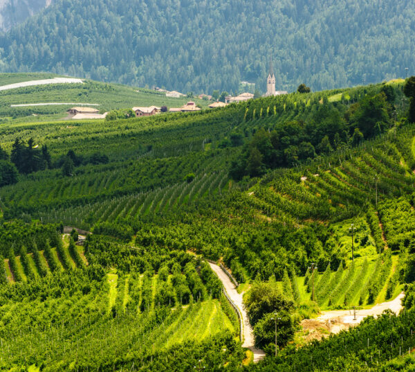 Das Val di Non und das Val di Sole: die geheimen Täler