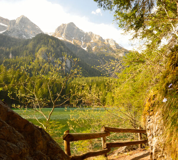 Das Val di Non und das Val di Sole: die geheimen Täler – Bild 2
