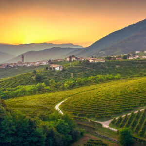 Die Straße des Prosecco