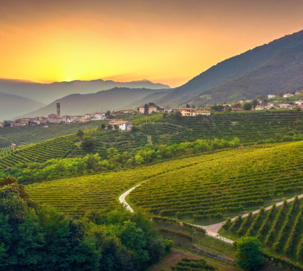 Die Straße des Prosecco