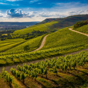 Wine and design in Tuscany