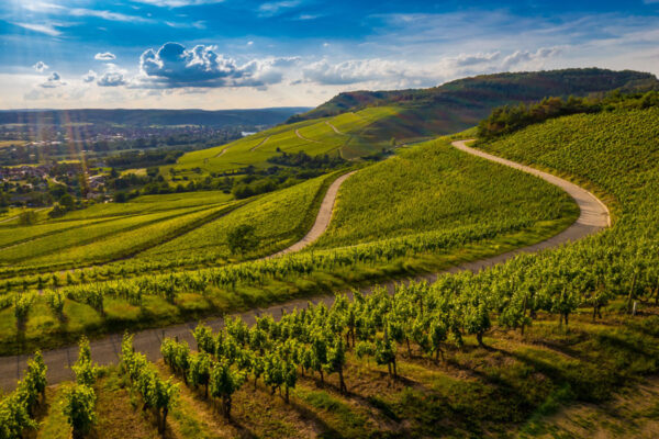 Wine and design in Tuscany
